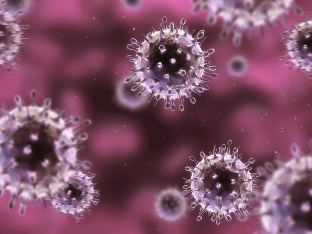 Вирус брисбенского гриппа