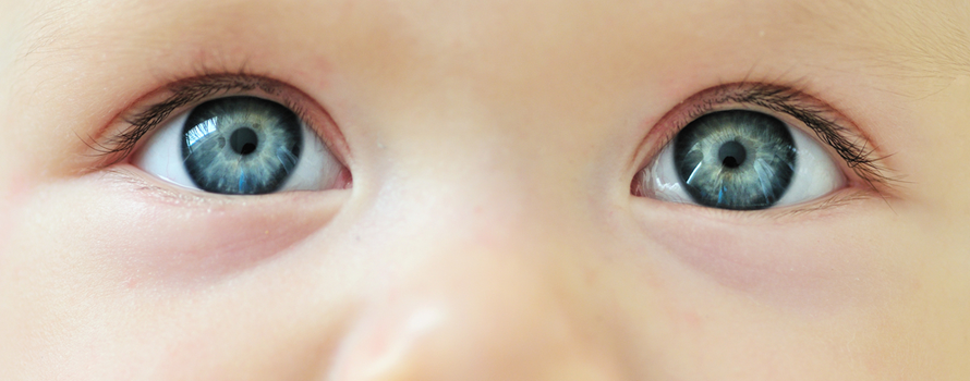глазки новорожденного