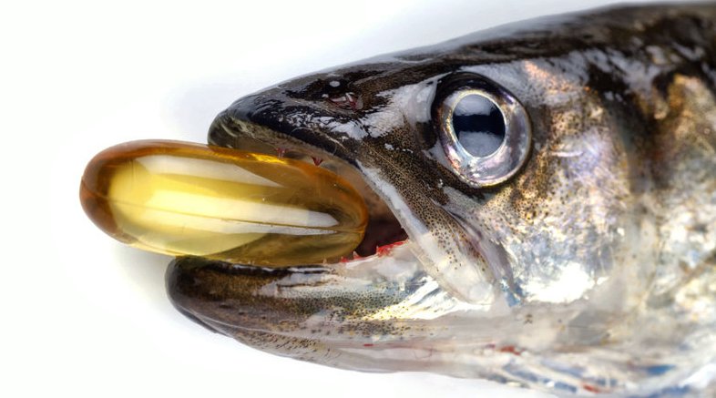 Жирная рыба - источник рыбьего жира для детей