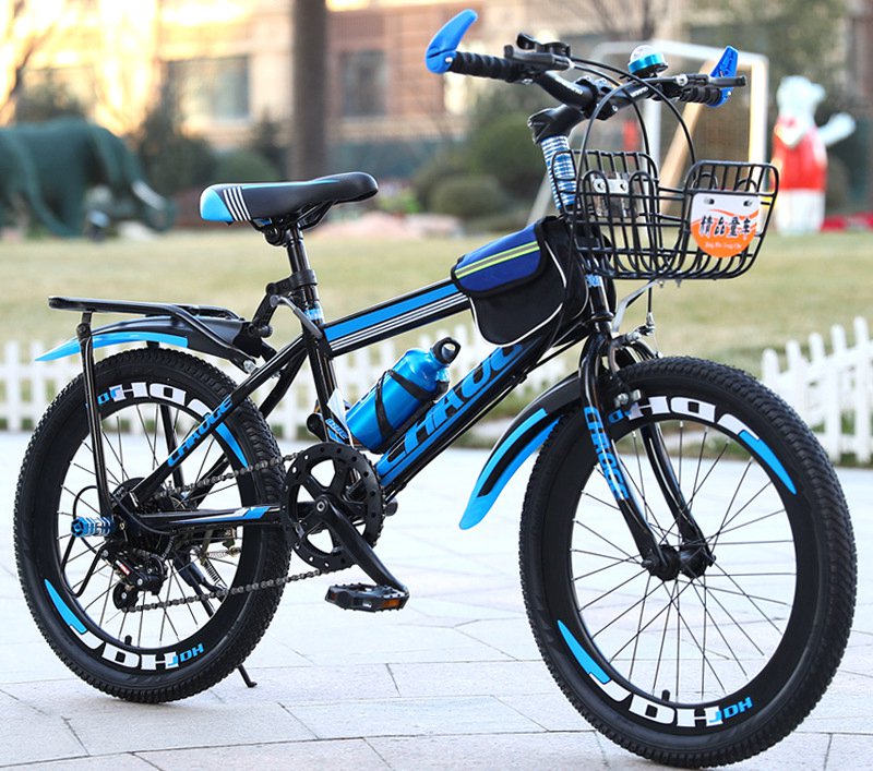 Синий велосипед BC Fish